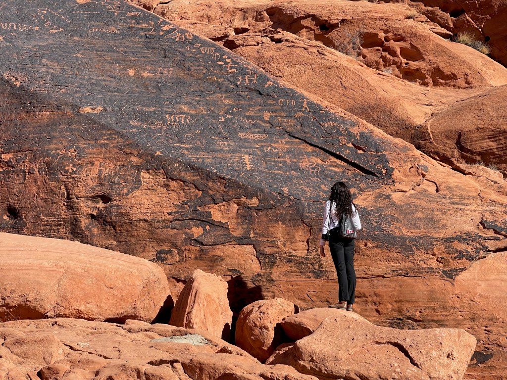 Beginning with the end: when exhibit designers interpretive&nbsp;plan