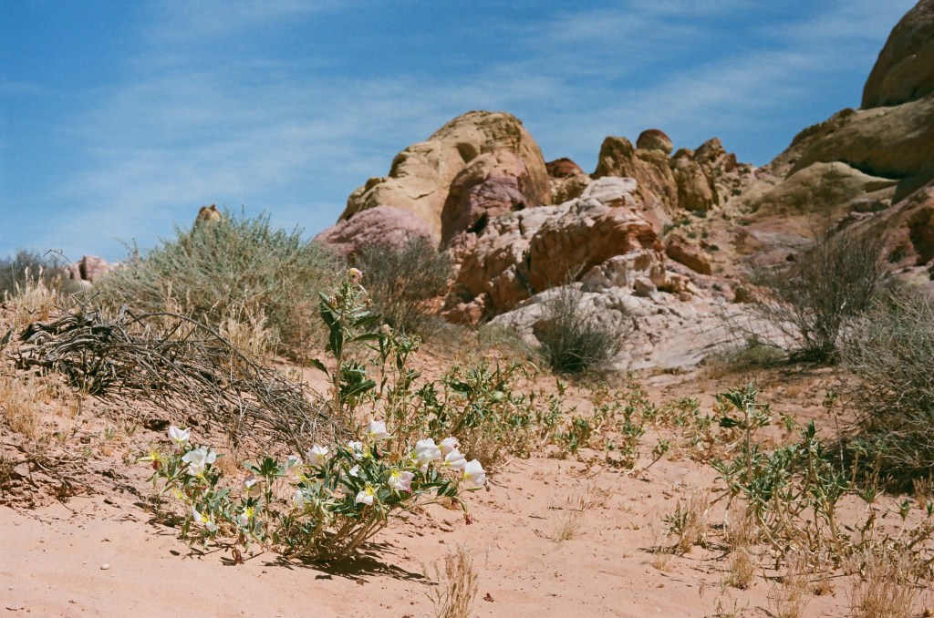 Let’s talk about&nbsp;themes